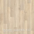 /products/dynamic-wood-xxl-x13-interfloor-vinyl/